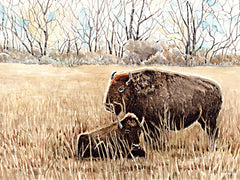 CIN4487 - Tatanka in Winter - 16x12