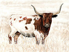 CIN4494 - Longhorn and Proud - 16x12
