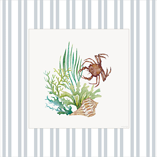 Cindy Jacobs CIN4510 - CIN4510 - Ocean Treasures II - 12x12 coastal watercolor vignette, crab, seashell, seaweed, marine plants, ocean life, beach cottage decor, nautical illustration, light blue striped background, framed white mat, summer seaside theme, hand-painted watercolor from Penny Lane