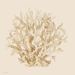 CIN4515 - Pale Coral Portrait II - 12x12