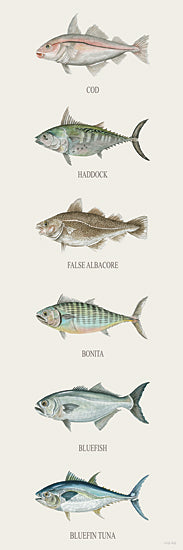 Cindy Jacobs CIN4520 - CIN4520 - Fish Chart III - 12x36 fish guide art, species identification chart, cod, haddock, false albacore, bonita, bluefish, tuna, marine life poster from Penny Lane