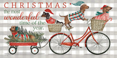 CIN4545 - Christmas the Most Wonderful Time of the Year - 18x9