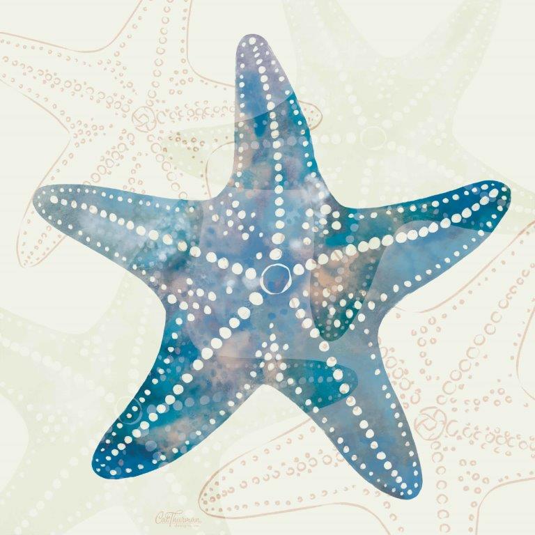 Cat Thurman Designs CTD247 - CTD247 - Blue & White Starfish - 12x12 Coastal, Shell, Starfish, Watercolor, Blue & White from Penny Lane