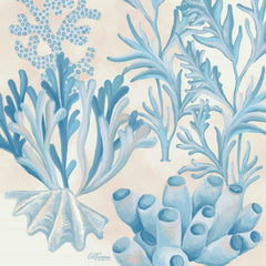 CTD249 - Blue & White Underwater Foliage - 12x12