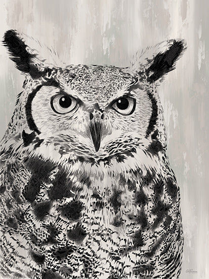 Cat Thurman Designs CTD310 - CTD310 - Charcoal Owl   - 12x16 Black and white owl portrait, close up wildlife illustration, moody neutral background, textured brush strokes, woodland animal, nocturnal bird, large eyes, rustic lodge decor, nature art, monochrome sketch style from Penny Lane