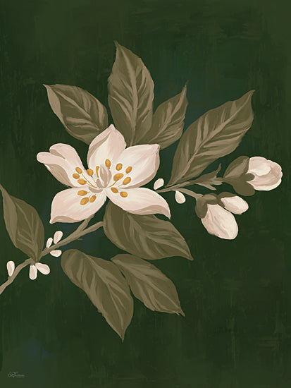 Cat Thurman Designs CTD410 - CTD410 - Fleeting Flower - 12x16 white blossom, botanical branch, jasmine style flower, green leaves, dark green background, moody floral art, elegant bloom, nature inspired decor, painterly botanical illustration, white petals, floral stem, rich green palette, romantic garden feel, sophisticated wall art, greenery accent, detailed flower painting, classic botanical composition from Penny Lane
