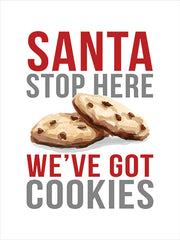 DOG353 - Santa Stop Here - 12x16