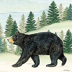 DS2281 - Black Bear in the Woods - 12x12