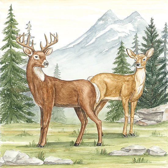 Deb Strain DS2399 - DS2399 - Two Deer in Forest - 12x12 watercolor woodland deer pair, buck and doe, antlers, forest meadow, evergreen trees, mountain landscape, rocks, soft green grass, wildlife couple, lodge decor, nature scene, rustic woodland animals, gentle outdoor art from Penny Lane