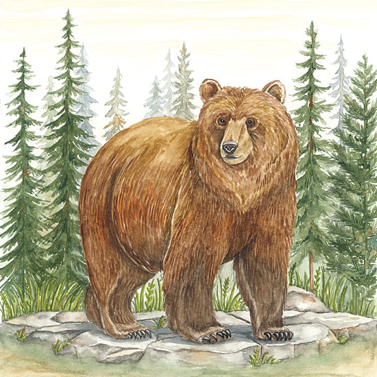 Deb Strain DS2401 - DS2401 - Grizzly Bear in Forest - 12x12 watercolor brown bear, grizzly bear, woodland forest, evergreen pine trees, rocky ground, lodge wildlife art, realistic bear portrait, rustic nature scene, mountain forest animal, large wild mammal, outdoorsy cabin decor from Penny Lane