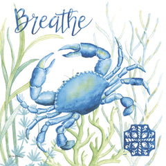 DS2431 - Seaside Breathe - 12x12