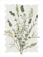ET413 - A Touch of Lavender II - 12x16