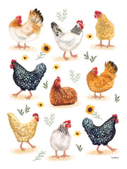 ET589 - Chickens - 12x16