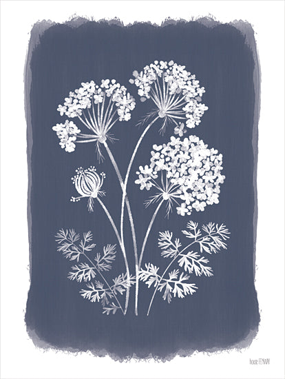 House Fenway FEN1028 - FEN1028 - Navy Lace I - 12x16 blue botanical print, white wildflowers, delicate umbels, fernlike leaves, pressed flower look, cyanotype style, indigo background, vintage botanical silhouette, nature artwork, minimalist floral, painterly edges, rustic wall art from Penny Lane