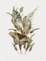 FEN1236 - Butterfly Grove I - 12x16