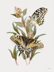 FEN1238 - Butterfly Grove III - 12x16