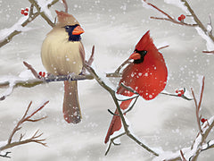 FEN871 - Winter Perch I - 16x12
