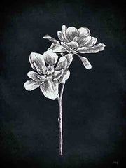 HK176 - Magnolia Stem - 12x16