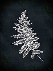HK177 - Fern Stem - 12x16
