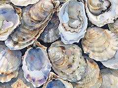HK370 - Oyster Shellabration   - 16x12