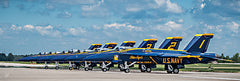 JDS236 - Ready For Action - 18x6