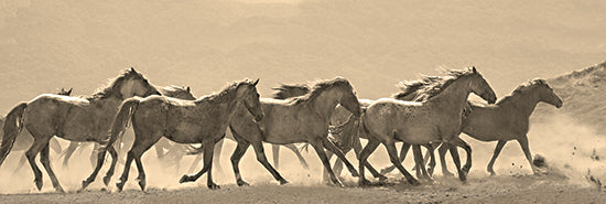 JG Studios JGS584 - JGS584 - Horse Parade - 36x12 Photography, Sepia, Horses, Landscape, Prairie, Western from Penny Lane