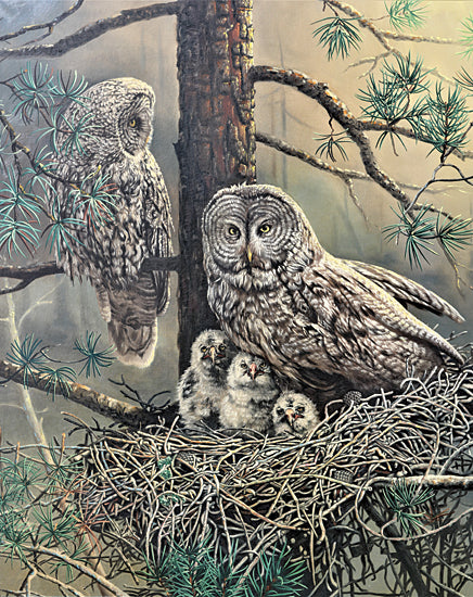 JG Studios JGS603 - JGS603 - Owl Family - 12x16 Great gray owls, nest with chicks, forest tree, pine needles, detailed wildlife painting, bird family, natural habitat from Penny Lane