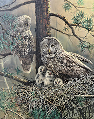 JGS603 - Owl Family - 12x16