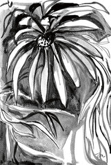 JM627 - Shadow Blooms III - 12x18