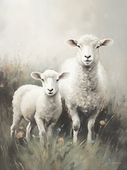 JO232 - Meadow Sheep - 12x16