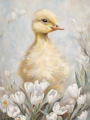 JO234 - Downie - 12x16