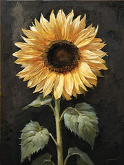 JO355 - Darkened Gold - 12x16