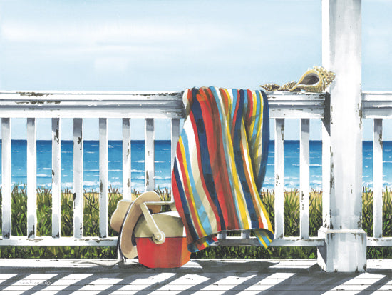 John Rossini JR442 - JR442 - Beach Things - 16x12 Coastal, Beach, Ocean, Porch, Blanket, Cooler, Sunhat, Shadows, Summer from Penny Lane