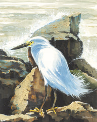 JR443 - Rocky Perch - 12x16