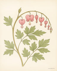 KAM1102 - Bleeding Hearts Botanical - 12x16