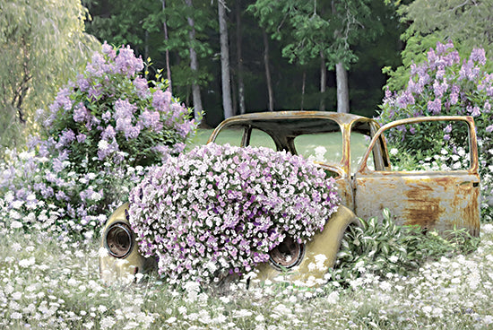 Lori Deiter LD3453 - LD3453 - Floral Beetle - 18x12 Photography, Flowers, Purple and White Flowers, Still Life, Volkswagen Beetle, Trees, Wildflowers from Penny Lane