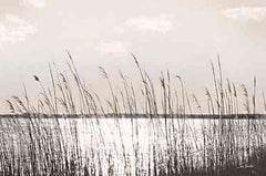 LD3456 - Beach Grass - 18x12