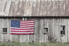 LD3510 - Old Patriotic Barn - 18x12