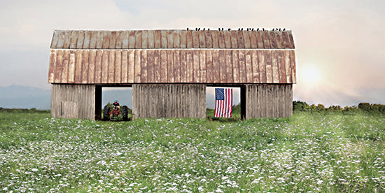 Lori Deiter LD3511 - LD3511 - Double Vision - 18x9 Photography, Farm, Barn, Tractor, American Flag, July 4th, Independence Day, Tin Roof, Birds, Wildflowers from Penny Lane