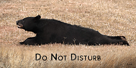 Lori Deiter LD3543 - LD3543 - Do Not Disturb Bear - 18x9 Photography, Bear, Black Bear, Whimsical, Stretched Out, Do Not Disturb, Typography, Signs, Textual Art, Brush from Penny Lane