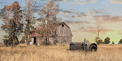 LD3548 - Golden Sunset on the Farm - 18x9