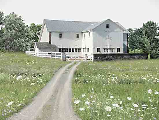 Lori Deiter LD3559 - LD3559 - Country Afternoon - 16x12 Photography, Landscape, Farm, Barn, White Barn, Trees, Sunny Day, Wildflowers, Road from Penny Lane