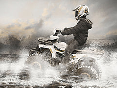LD3609 - Splish Splash ATV II - 16x12