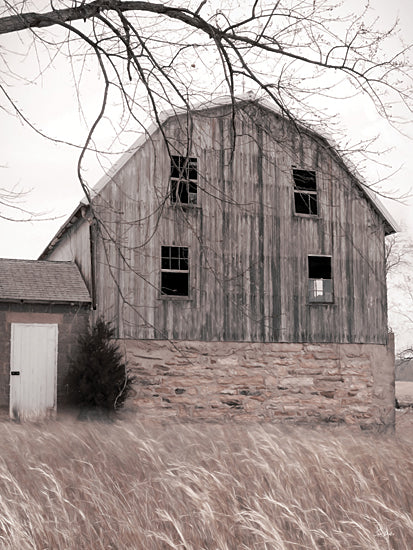 Lori Deiter LD3622 - LD3622 - Dormant Old Barn - 12x16 Photography, Farm, Barn, Dormant Old Barn, Wheat Field, Tree from Penny Lane