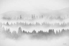 LD3694 - Whispering Forest - 18x12