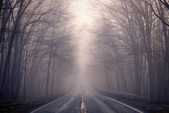 LD3700 - Disappearing Destination - 18x12