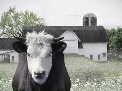 LD3708 - The Beauty of Black and White - 16x12