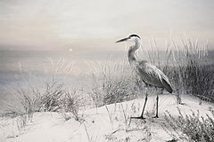 LD3798 - Silent Shore - 18x12