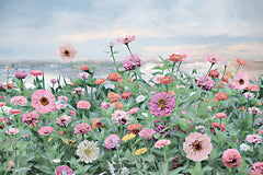 LD3806 - Seaside Zinnias II - 12x16