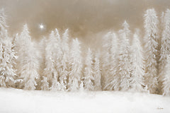 LD3822 - Peaceful Snowscape - 18x12